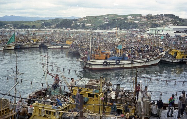 1970년 죽변항 수많은 오징어 잡이 어선 항구에 정박